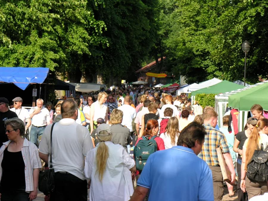 Flohmarkt Ashausen 2026